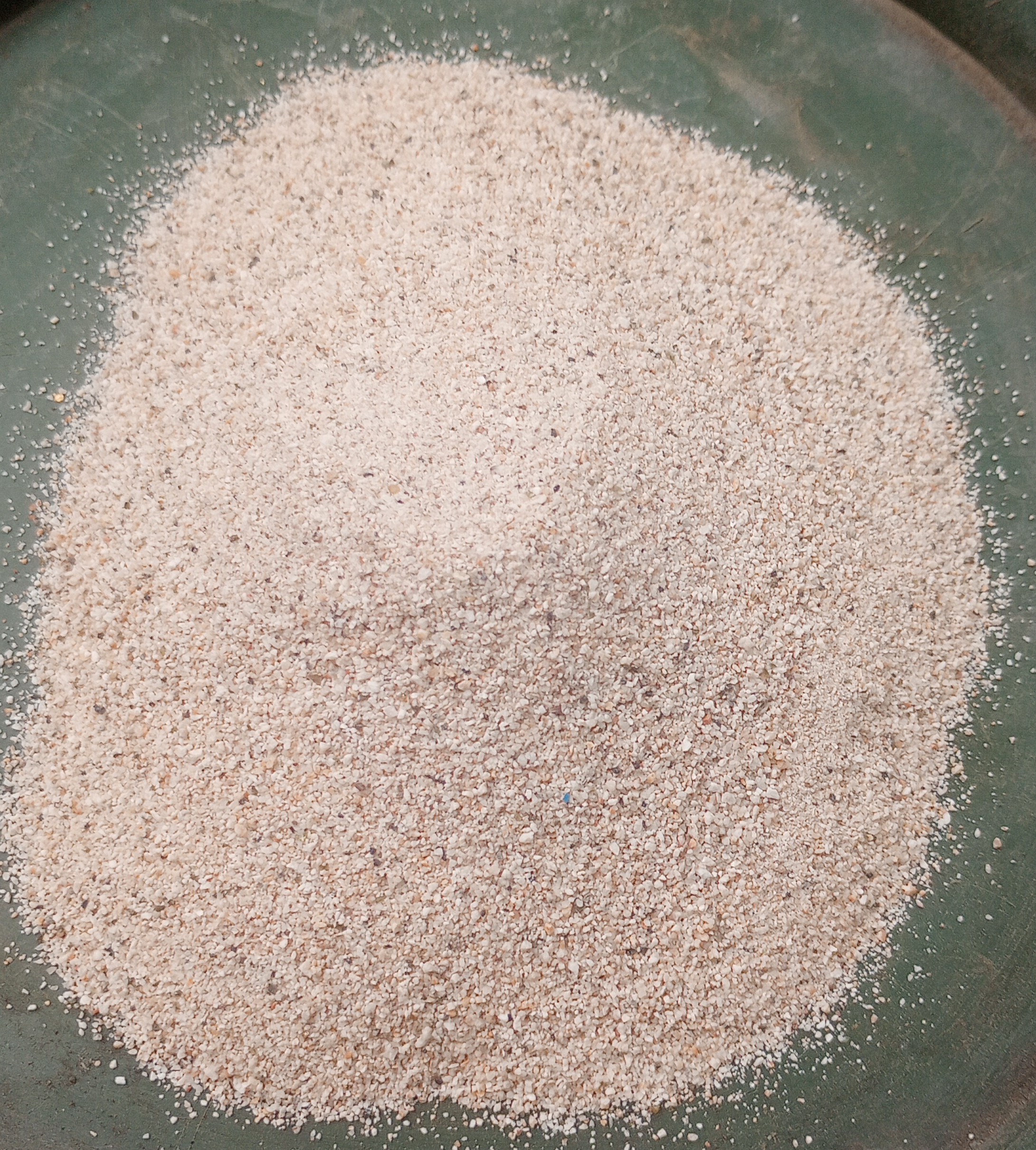 Roasted Sand