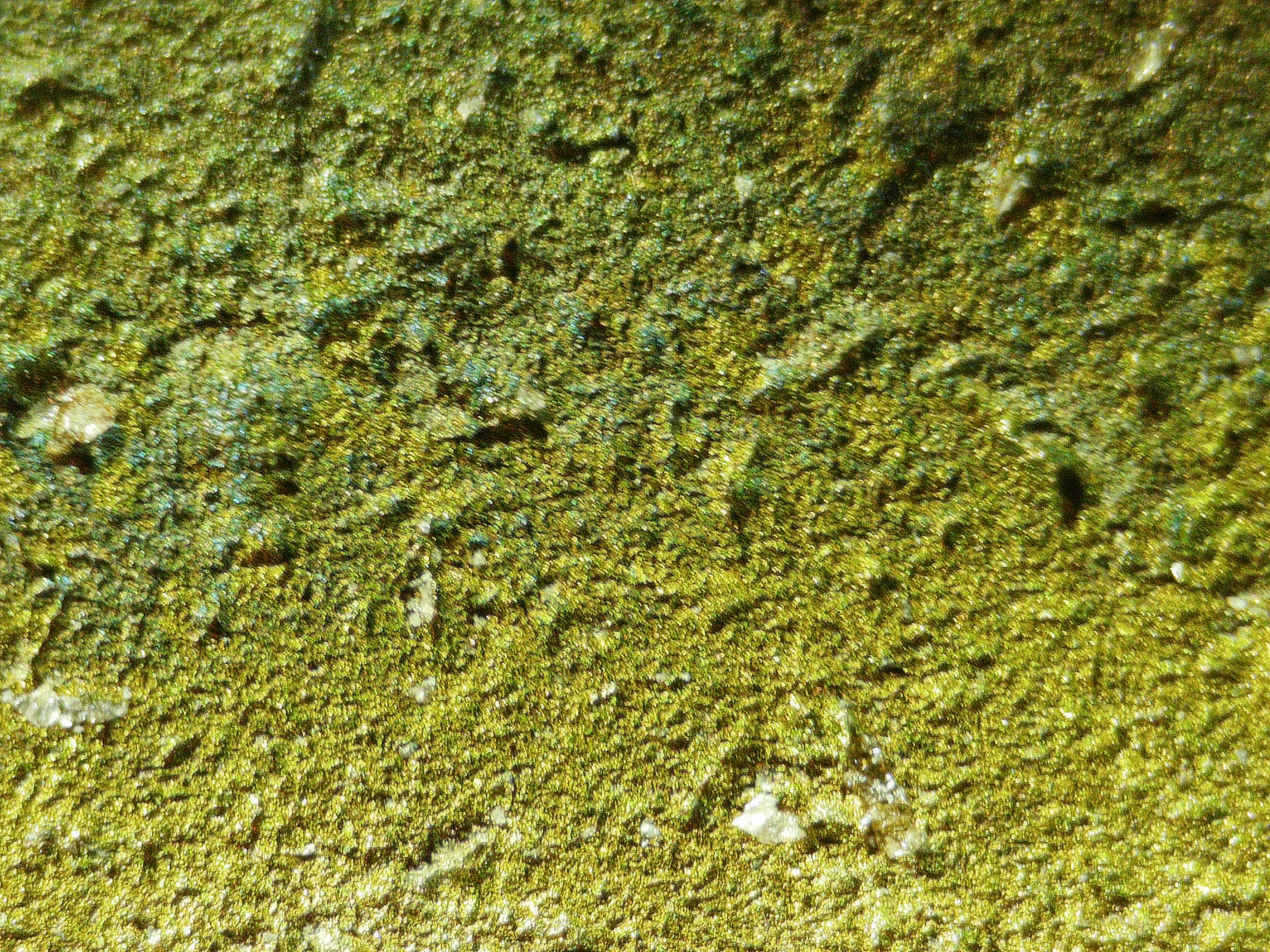 Titanium Electrode